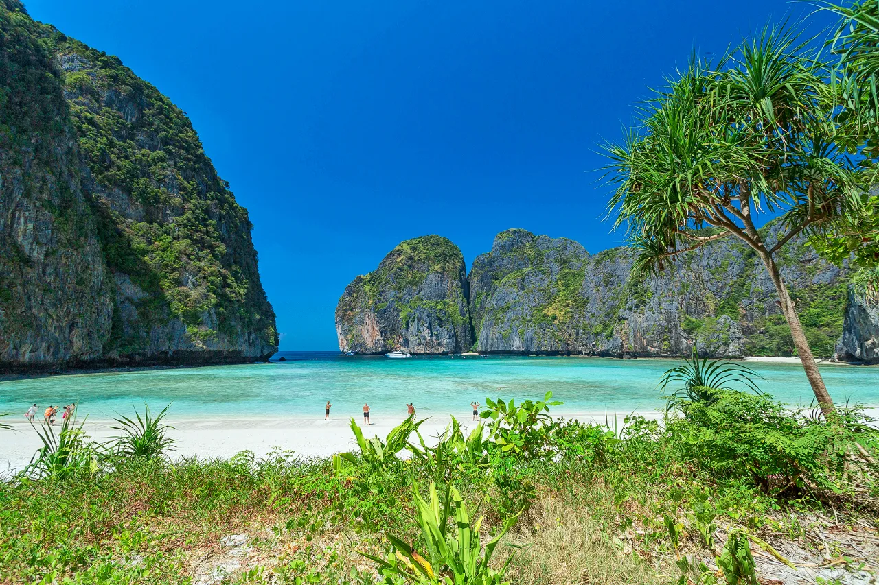 รูปภาพทัวร์ 5