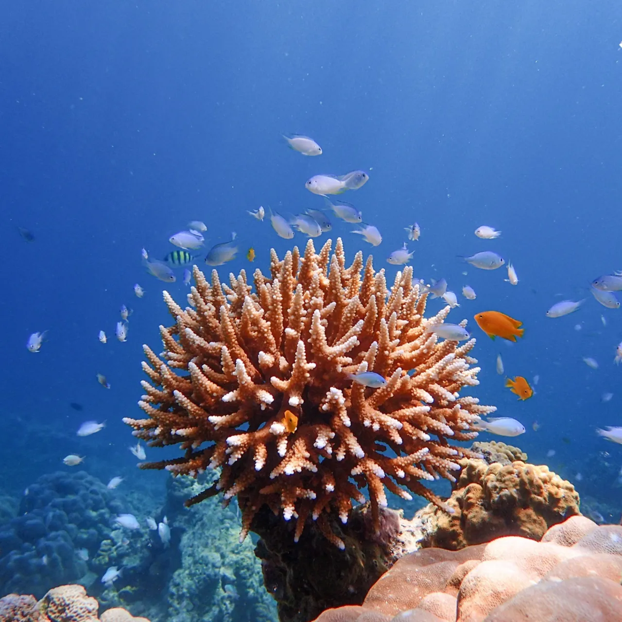 รูปภาพทัวร์ 4
