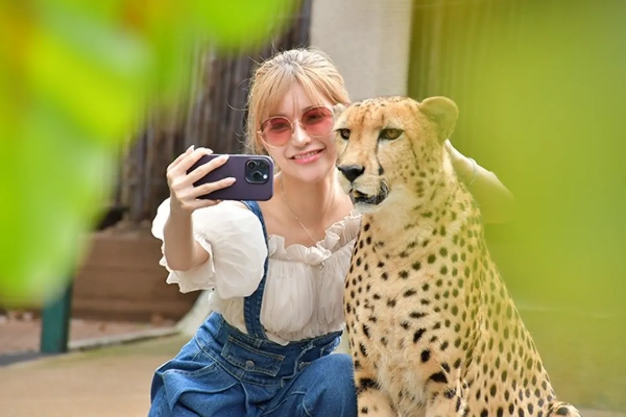 รูปภาพทัวร์ 2