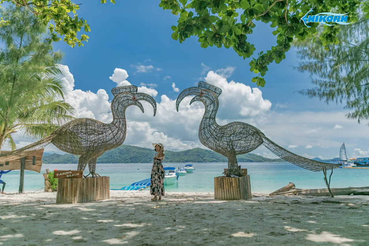 รูปภาพทัวร์ 8